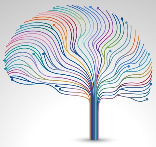 Eating Disorder Assessment 